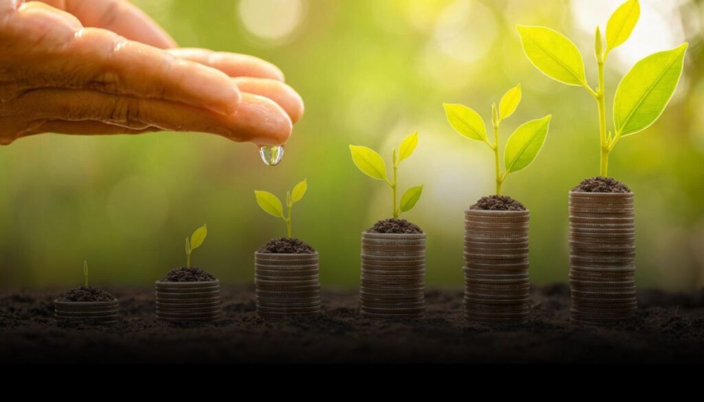 mutual funds